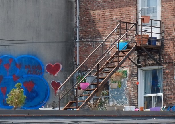 back staircase of a brick building, upper apartment, with blue and pink planters on the stairs