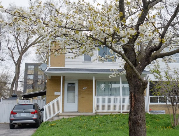 a house with a large white blossom tree in the front yard