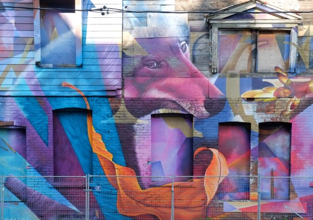 large mural with a coyote face, a large dead orange leaf, 