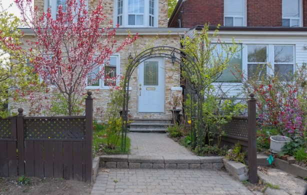 front yard, black metal trellis, blossom trees, one yellow tulip, fake stone front of house, stone walkway, brown wood fence, single white door for front door
