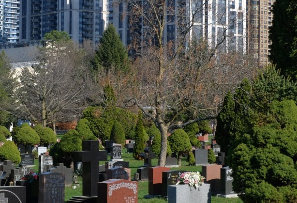 York cemetery, tombstones in foreground, tall buildings of North York in the background