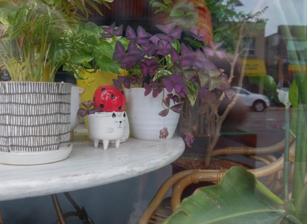 looking inside the window of a plant store, a white table with plants on it