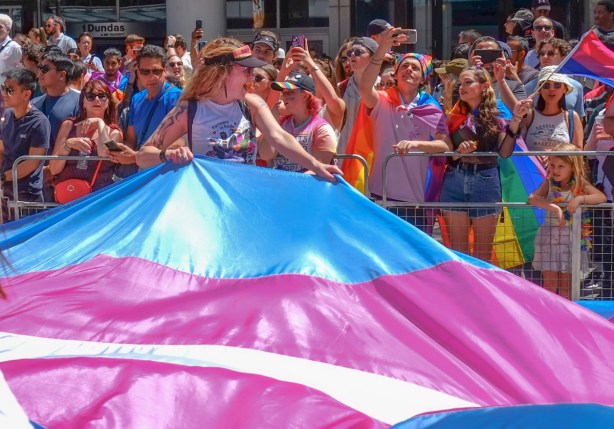 woman carrying one part of a large pink, white, and turquoise trans flag, with crowd watching the parade behind barricades beside her 