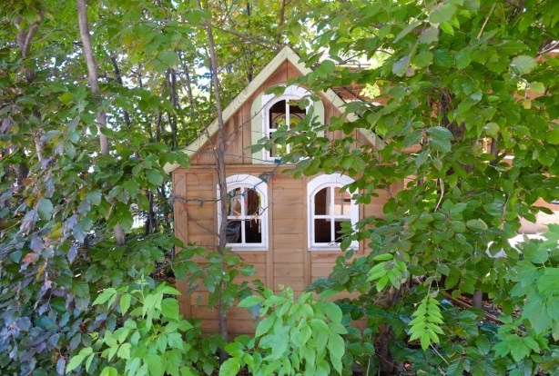 a small playhouse surrounded by leaves, in the side yard of a house