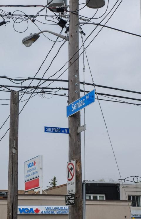 utility poles and hydro wires, street signs for senlac and sheppard avenue