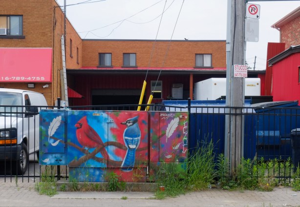 metal sidewalk box painted with birds, a blue jay and a cardinal