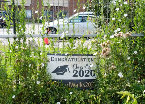 hidden behind long grass and weeds, an old sign that says congratulations class of 2020