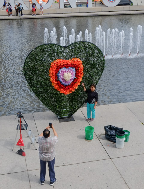 a man taking a picture of his wife standing beside a partially finished heart made of rainbow coloured flowers, nathan phillips square, 