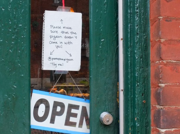 sign in a window of a door that says don't let the pigeon in when you open the door