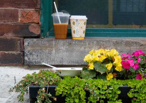 trash, used coffee cups and an empty bowl and plastic spoon, left on a window sill, flower box in front of it