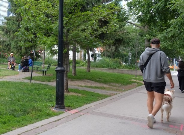 man on sidewalk, walking past park, 