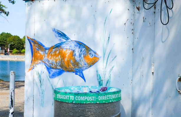 painting of an orange and blue fish on a white wall close to a compost garbage bin