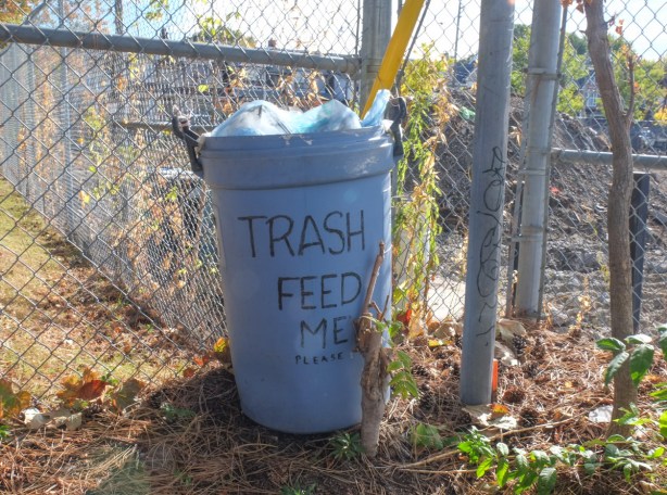 in an alley, a blue rubbish bin, trash can, with black words written on it, feed me please