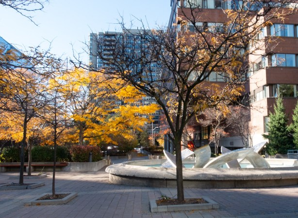 dry fountain in front of brick building, along with some trees with yellow and gold coloured leaves (autumn colours)