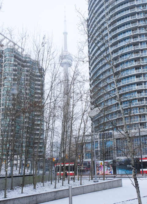 CN Tower between two condos