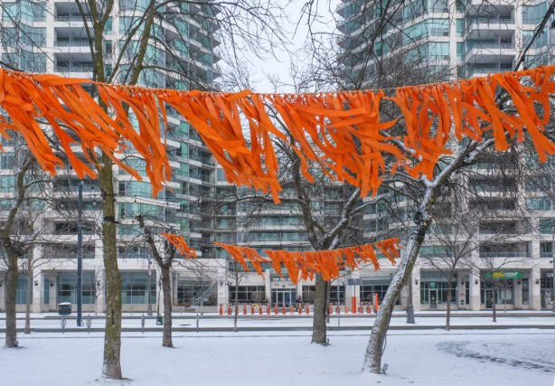 2 rows of orange ties hanging from tress, winter, snow covered ground, in a park