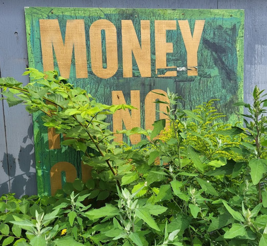 printed sign, gold letters on green that say money is no, but then last word is hidden behind green leaves