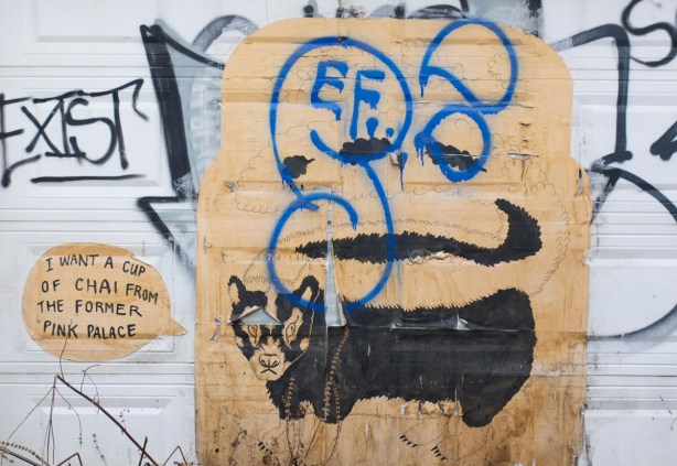 graffiti in an alley, black animal (cow?) on brown, with text, I want s cup of chai from the former pink palace