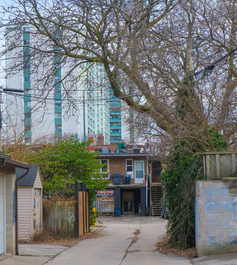 view looking down an alley to where it ends at a street with houses, large tree in the foreground, tall white apartment building in the background