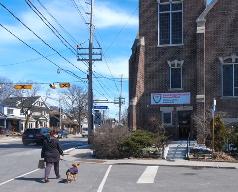 woman crossing stret with a dog on a leash dog has a purple coat on, in front of old brick church, grant african