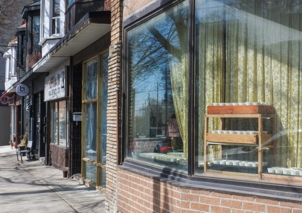 row of old store fronts on gerrard, some now home, one has large window with greenish curtains, also a lot of little pots in the sunlight, perhaps growing seeds for spring planting