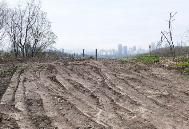 land recently cleared of vegetation, dirt ruts 