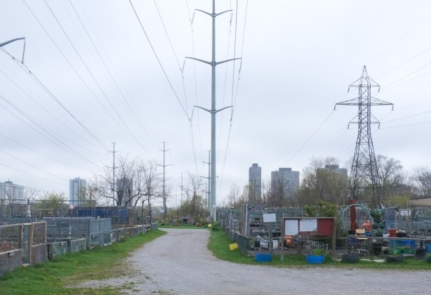 community garden plots on hydro right of way land