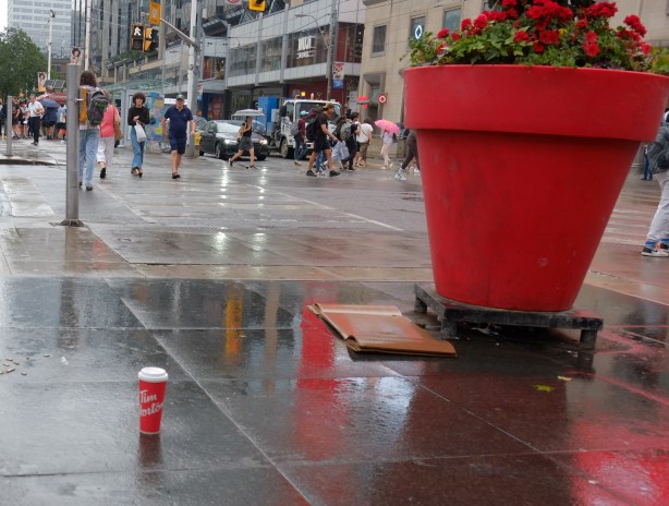 tim hortons red and white coffee cup sitting on a wet sidewalk beside a large red planter at yonge and dundas in the rain