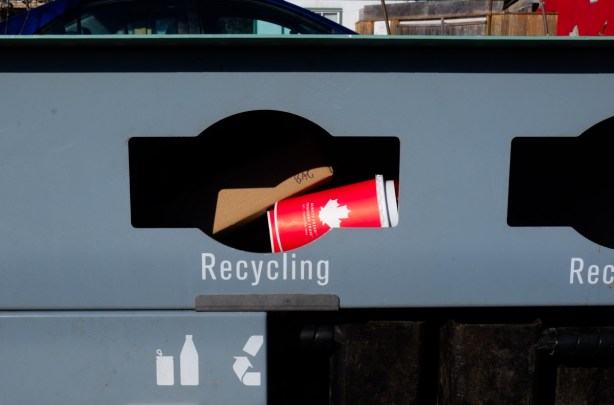 recycling bin on municipal garbage can is full, with a tims coffee cup at the very top