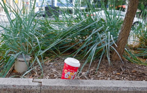 an empty time hortons cup in a concrete planter on the sidewalk along with green plants