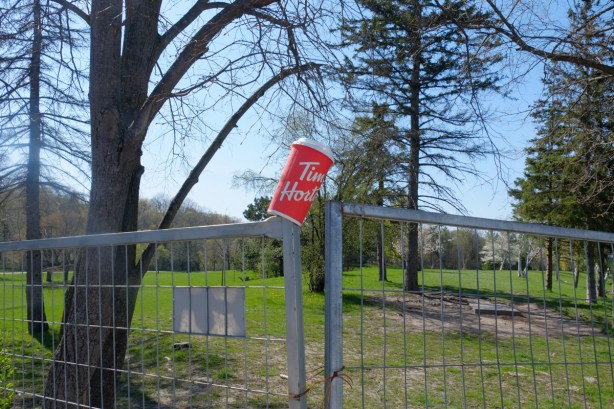 a tims cup stuck on the top of a metal construction fence in a park