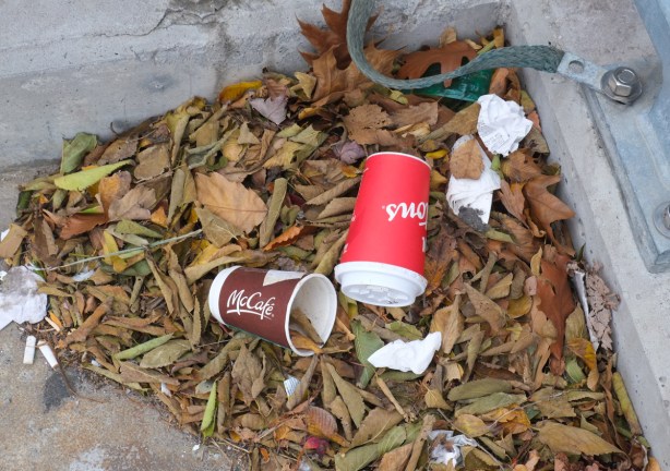 two empty coffee cups, mcdonalds and tim hortons, on the ground, in a corner with a pile of dead dried leaves