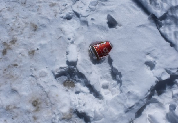 tims cup in the snow