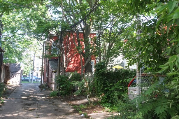 an alley, with lots of greenery from trees and shrubs, back of red building,