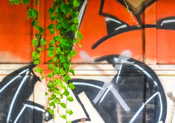green vine growing in front of street art on garage door