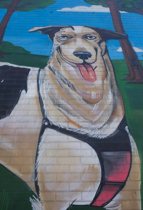 from a mural by uber 5000, an image of a large white and grey dog, tongue hanging out of mouth, happy face,