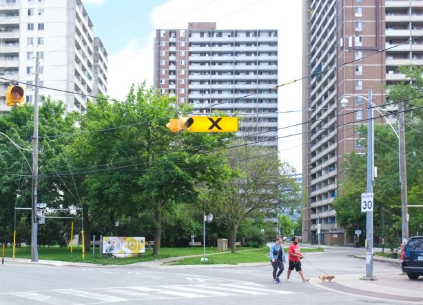 couple walking a dog on River near Oak street, with three high rises in the background