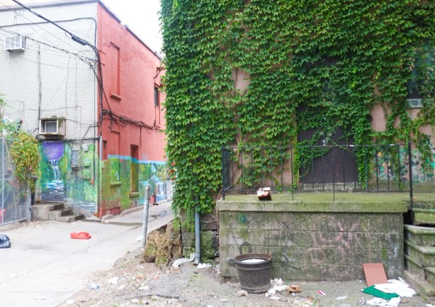 porch at back of building, in alley, on building with lots of ivy growing on it, with another building across the alley with murals of waterfalls and landscapes