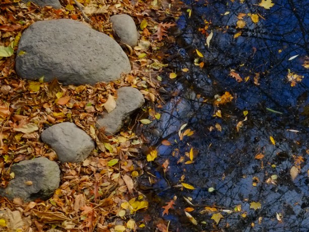 rocks and dirt beside creek that looks dark blue because of reflections of blue sky and tall trees beside the water, dead leaves floating in the water