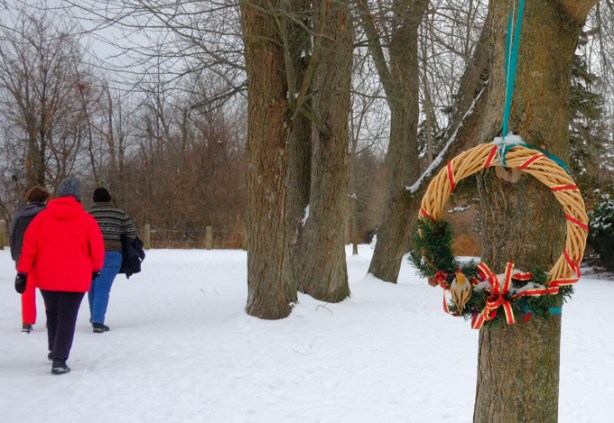 small christmas wreath with greenery, as well as red and gold ribbon, hanging on a tree in Guildwood Inn Park