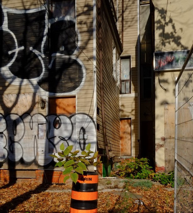 graffiti on back of abandoned houses