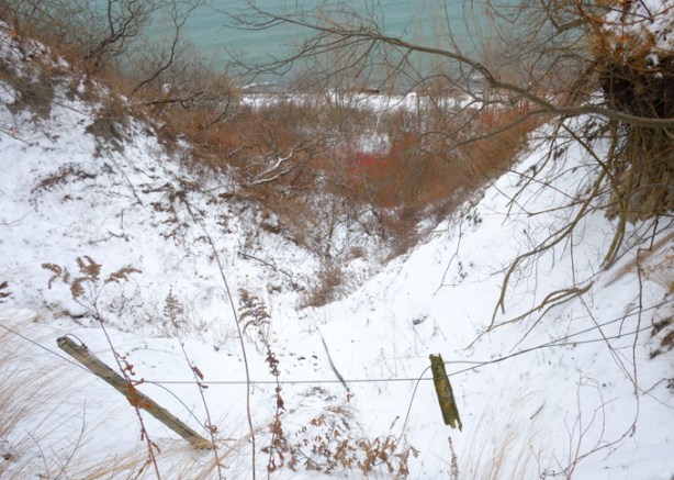 old fence wire and posts, dangling where cliff side has eroded, beside Lake Ontario at Guildwood Inn park, winter time, snow on ground, some red dogwood shrub branches near water