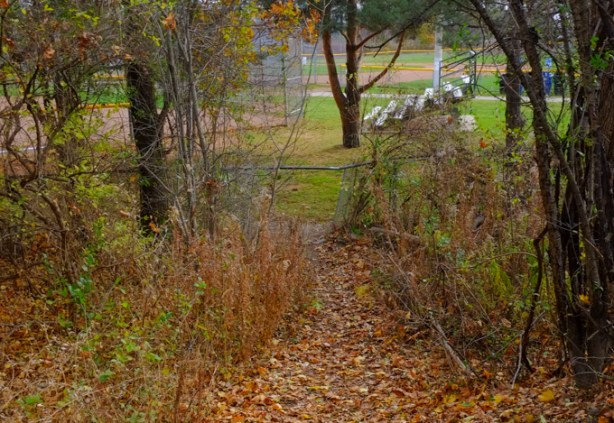 leaf covered path down a small hill to a hole in a chainlink fence, and a park with seating beside a baseball diamond in the background, lots of trees