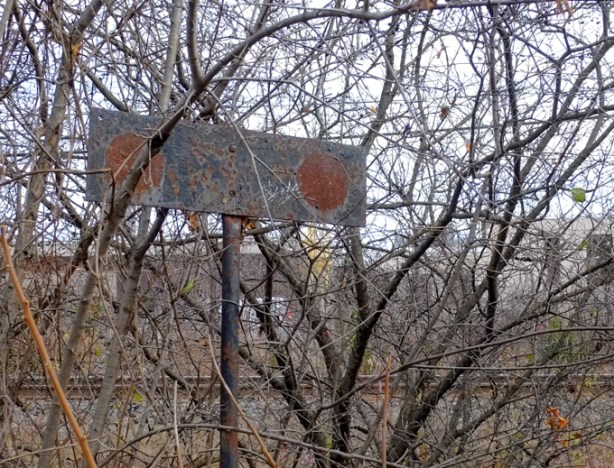 old rusted railway sign, small trees have grown up around it