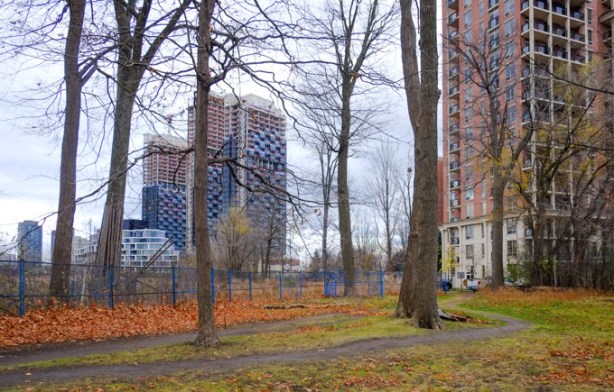 large trees in foreground, dead leaves on the ground, autumn, new condos being built in the background, cranes, 