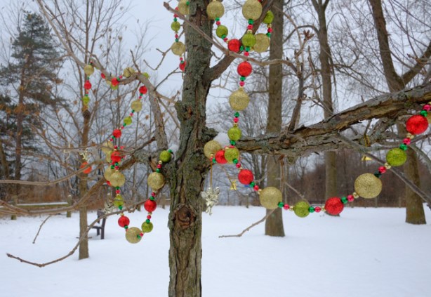 Christmas garland hanging from bare branches of a small deciduous tree in winter