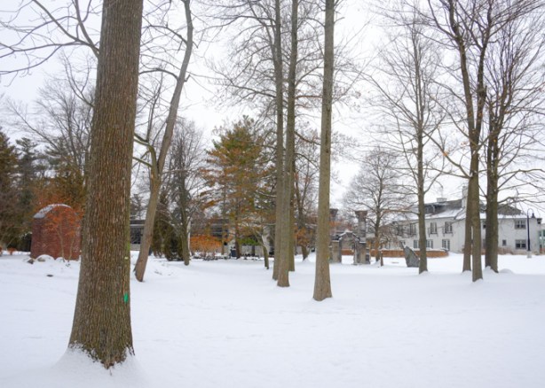 winter scene, Guild Inn among the trees, snow