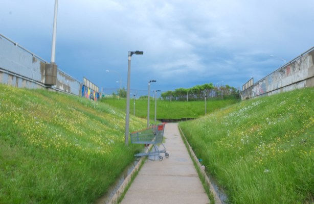 southwest entrance to wilson station, sidewalk through grassy area to entrance