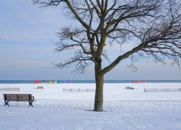 snow covered beach, with a bench facing the frozen lake ontario, a tree beside the bench. in the distance, art installations in the sand