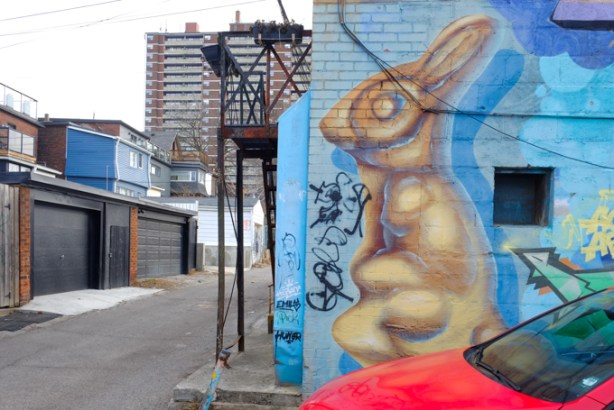 large painting of a rabbit, street art mural, in alley behind queen street west